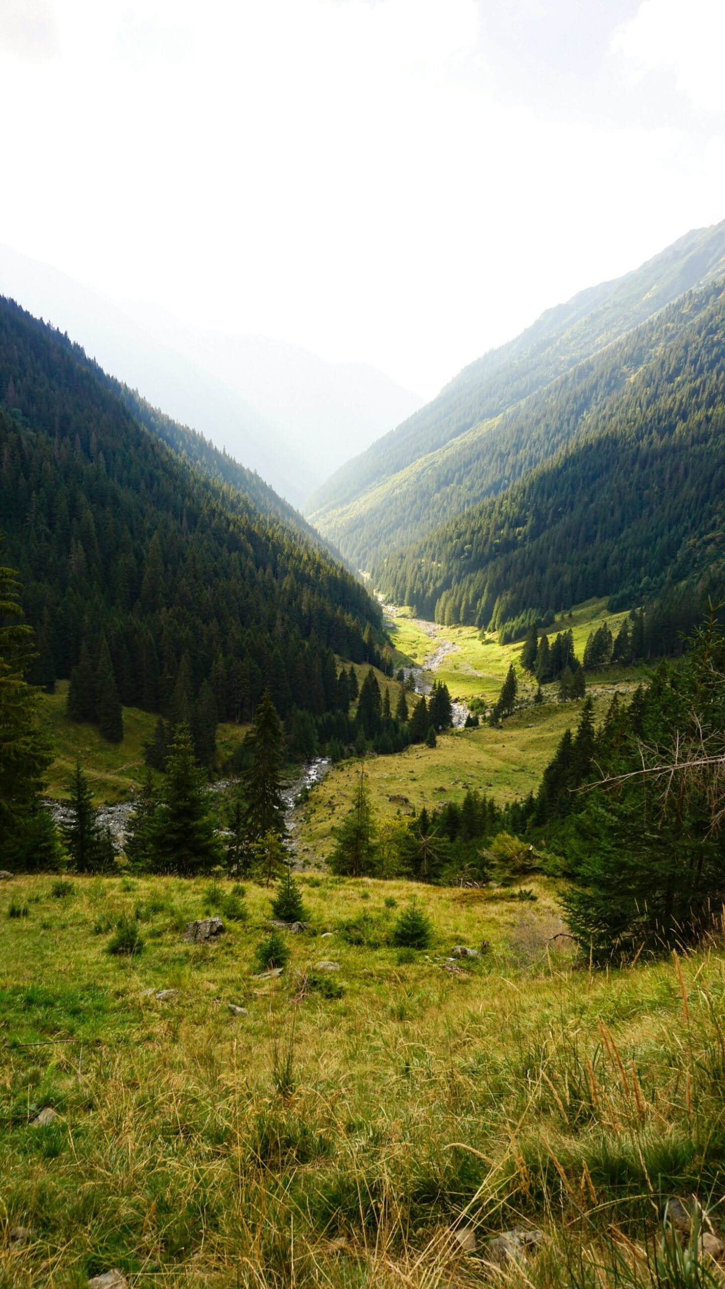 Exploring Cultures: A Guide to Meaningful Travel